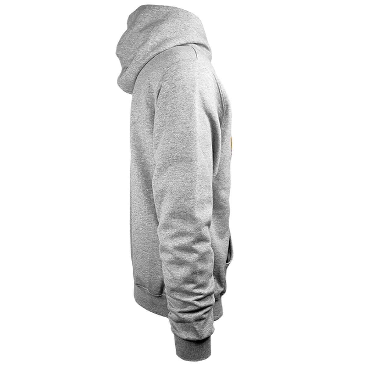 Champion® I-State Gray Hoodie
